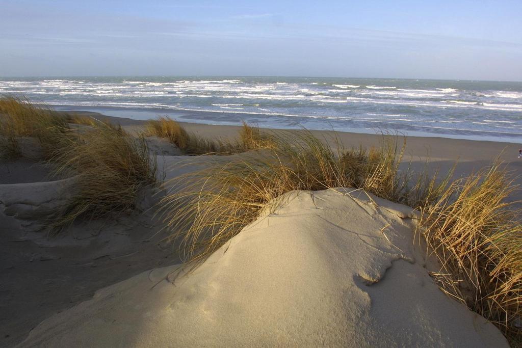 Logis Auberge De La Dune - Hotel & Restaurant Крот Екстериор снимка